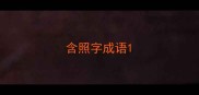 含照字成语