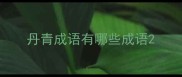 丹青成语有哪些成语