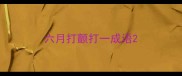 六月打颤打一成语