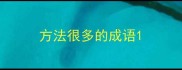 方法很多的成语