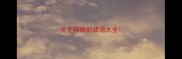 关于网络的成语大全