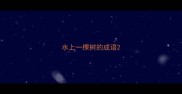 水上一棵树的成语