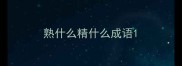 熟什么精什么成语