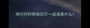 明月何时照我还打一成语是什么
