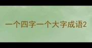 一个四字一个大字成语