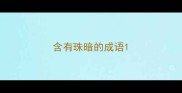 含有珠暗的成语