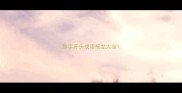 辞字开头成语接龙大全