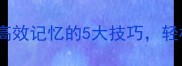四字成语学习秘籍高效记忆的5大技巧轻松掌握1200个成语
