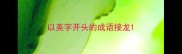 以美字开头的成语接龙