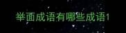 举面成语有哪些成语