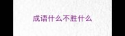 成语什么不胜什么