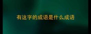 有这字的成语是什么成语