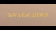滥竽充数的成语意思