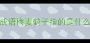 成语梅妻鹤子指的是什么