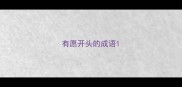 有愿开头的成语