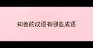 知善的成语有哪些成语