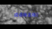 成语接龙樯