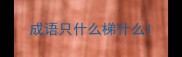 成语只什么梯什么