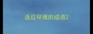 适应环境的成语