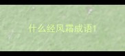 什么经风霜成语