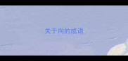 关于向的成语