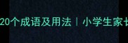 带向字的20个成语及用法小学生家长必看