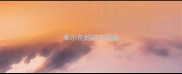 表示花的四字成语