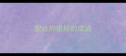 配合的很好的成语