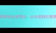 100个经典成语带出处及用法从论语到红楼梦的智慧传承