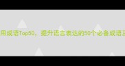 合集男性常用成语Top50提升语言表达的50个必备成语及正确用法