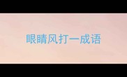眼睛风打一成语