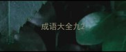 成语大全九