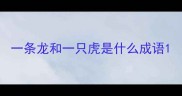 一条龙和一只虎是什么成语