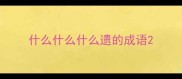 什么什么什么遗的成语