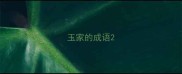 玉家的成语