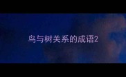 鸟与树关系的成语