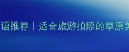 10个形容大草原的成语推荐适合旅游拍照的草原美称美到窒息