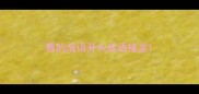 蔡的成语开头成语接龙