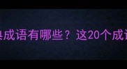 包含陇字的经典成语有哪些这20个成语助你提升语言