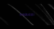 有输赢成语