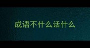 成语不什么话什么